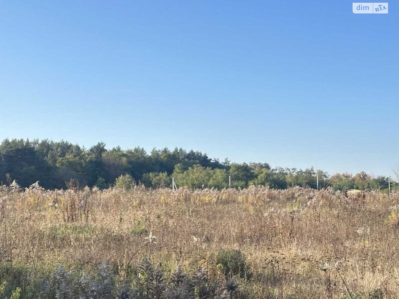 Земельный участок под жилую застройку в Прибужскому, площадь 5 соток фото 1