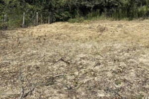 Земельный участок под жилую застройку в Прибужскому, площадь 8.02 сотки фото 1 Земельный участок под жилую застройку в Прибужскому, площадь 8.02 сотки фото 1