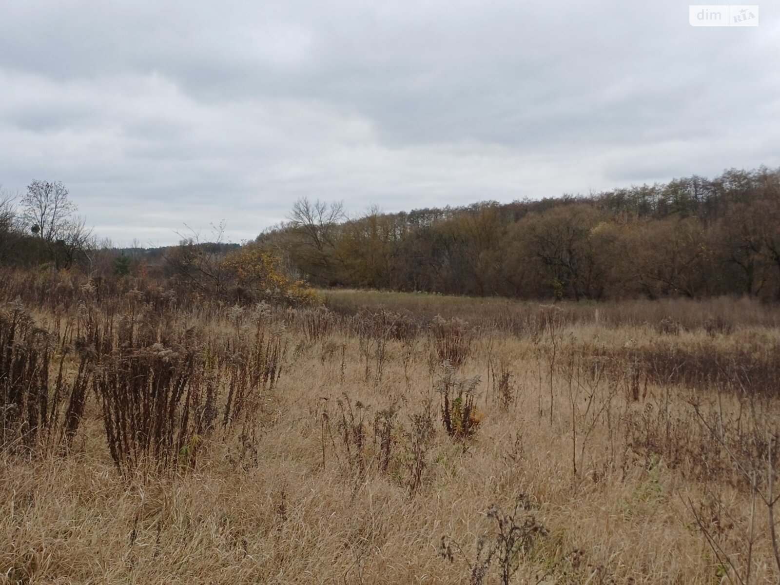 Земельный участок под жилую застройку в Прибужскому, площадь 25 соток фото 1