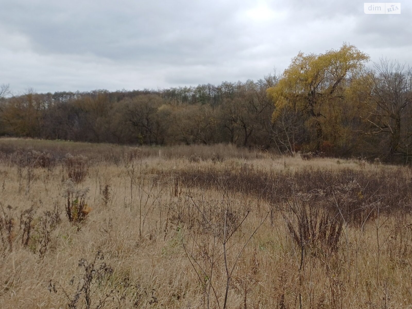 Земельный участок под жилую застройку в Прибужскому, площадь 25 соток фото 1