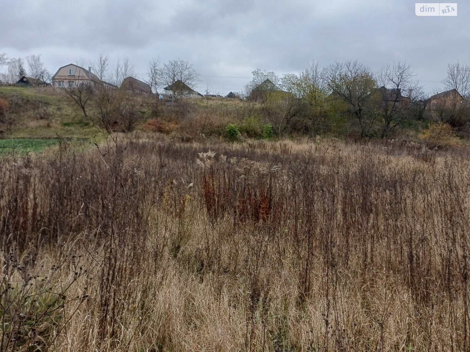 Земельный участок под жилую застройку в Прибужскому, площадь 25 соток фото 1