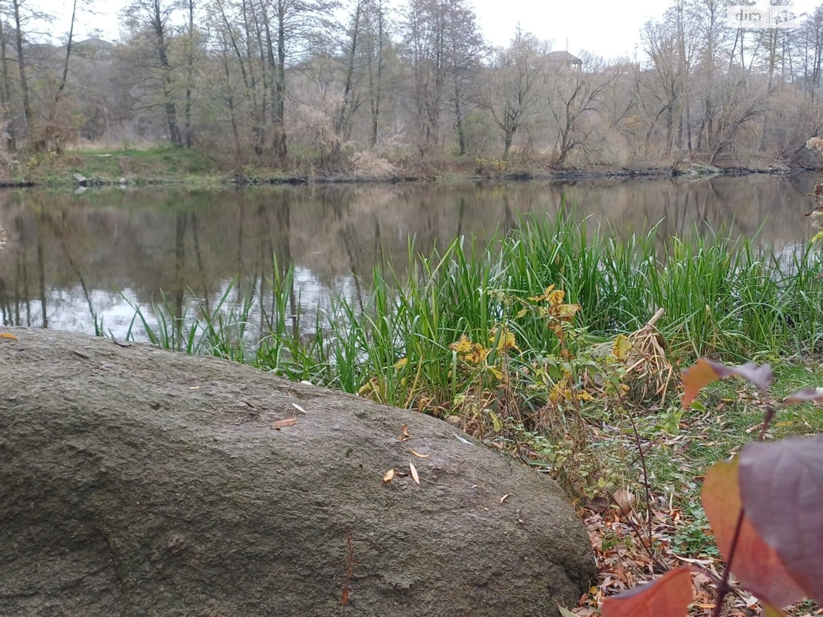 Земельный участок под жилую застройку в Прибужскому, площадь 25 соток фото 1