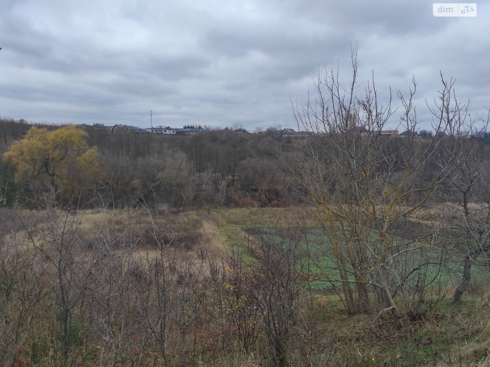 Земельный участок под жилую застройку в Прибужскому, площадь 25 соток фото 1