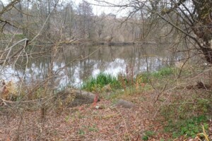 Земельный участок под жилую застройку в Прибужскому, площадь 25 соток фото 2