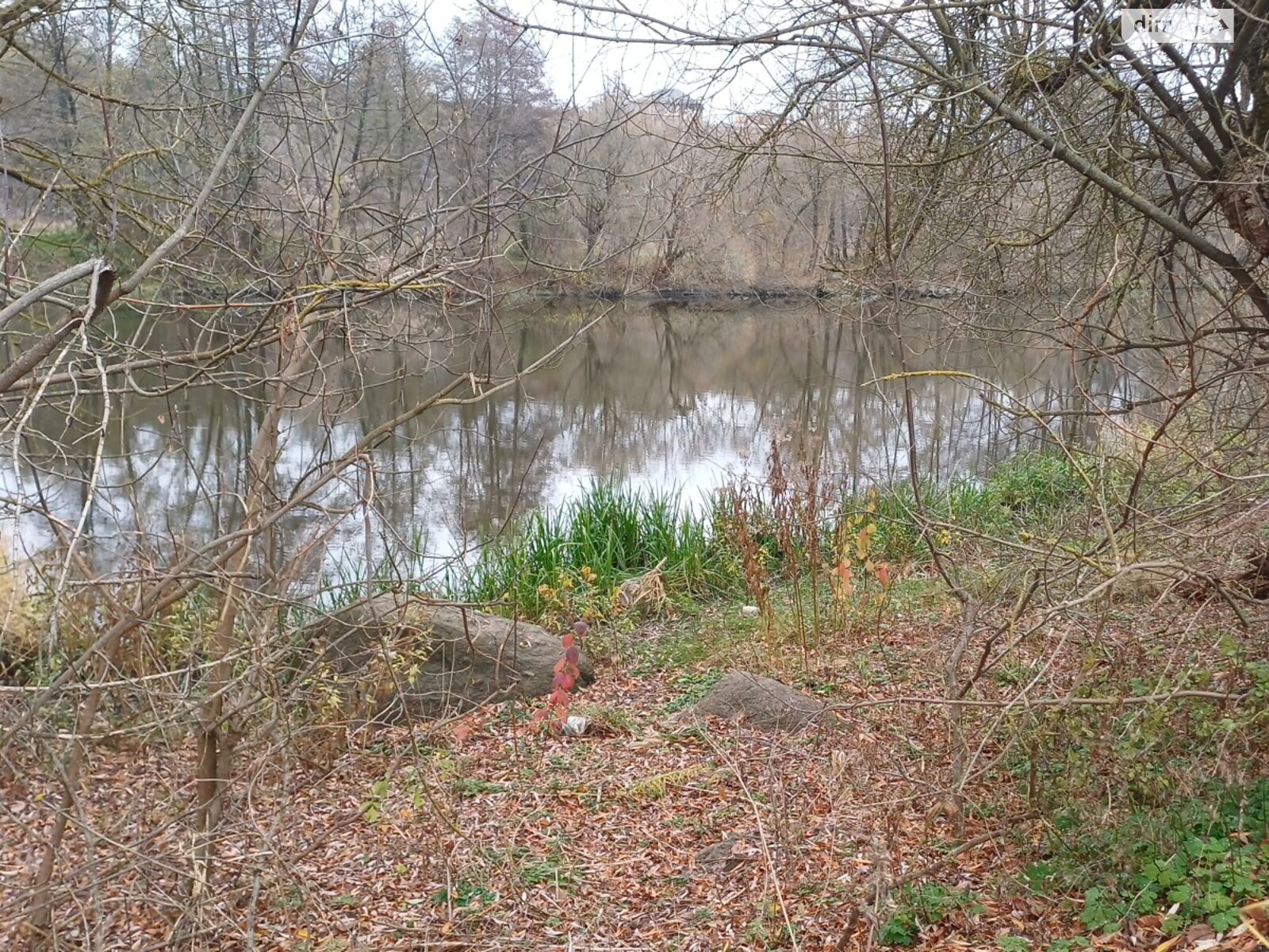 Земельный участок под жилую застройку в Прибужскому, площадь 25 соток фото 1