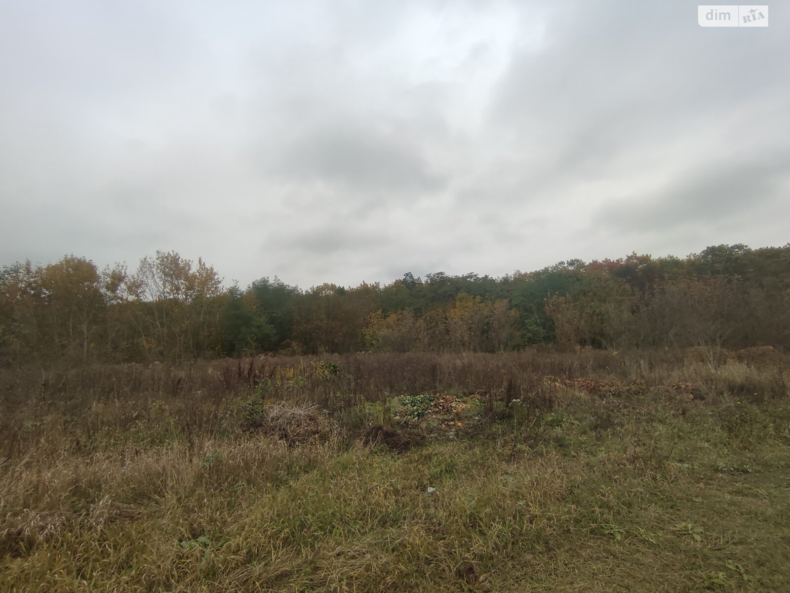 Земельный участок под жилую застройку в Прибужскому, площадь 81 сотка фото 1 Земельный участок под жилую застройку в Прибужскому, площадь 81 сотка фото 1