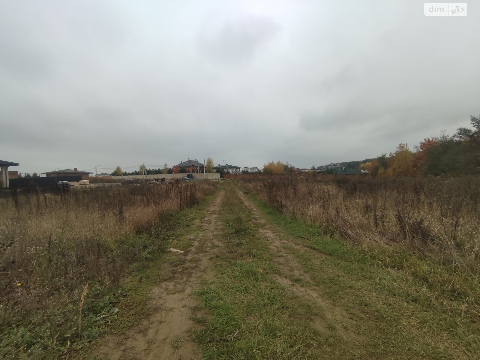 Земельный участок под жилую застройку в Прибужскому, площадь 81 сотка фото 1 Земельный участок под жилую застройку в Прибужскому, площадь 81 сотка фото 1