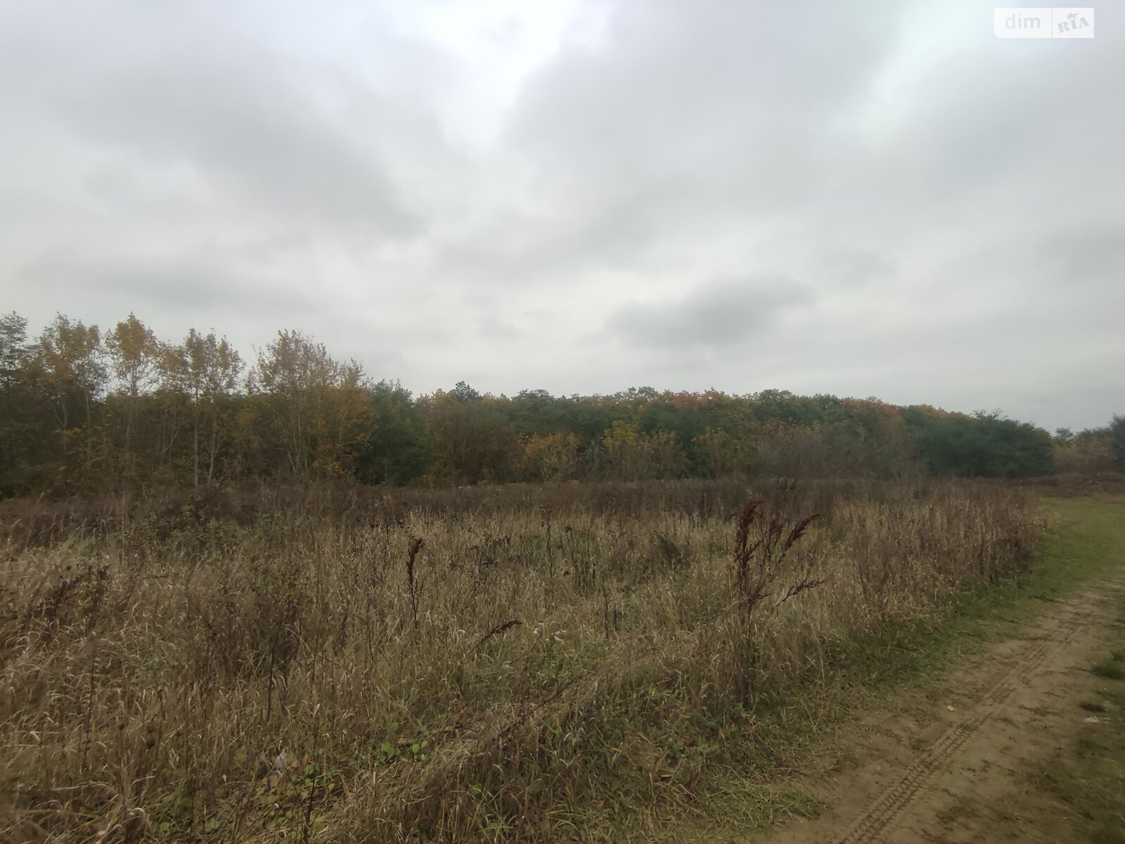 Земельный участок под жилую застройку в Прибужскому, площадь 81 сотка фото 1 Земельный участок под жилую застройку в Прибужскому, площадь 81 сотка фото 1