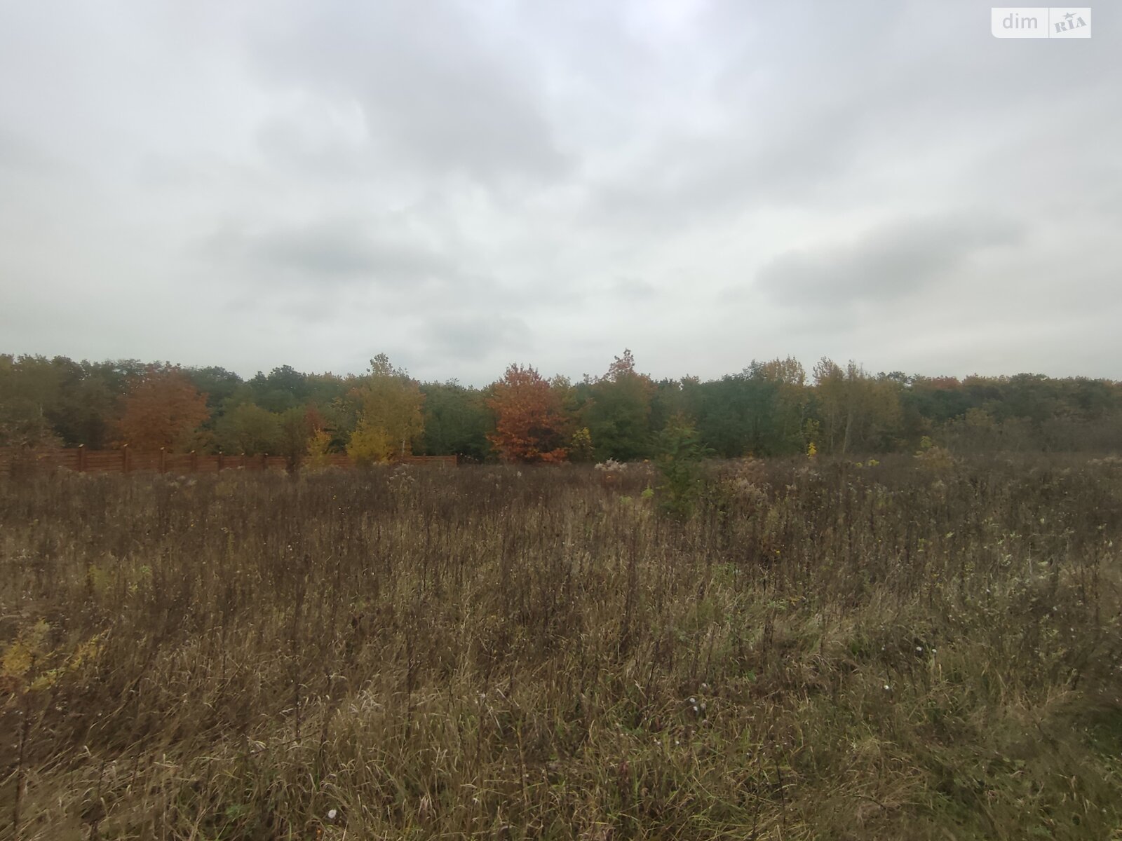 Земельный участок под жилую застройку в Прибужскому, площадь 81 сотка фото 1 Земельный участок под жилую застройку в Прибужскому, площадь 81 сотка фото 1