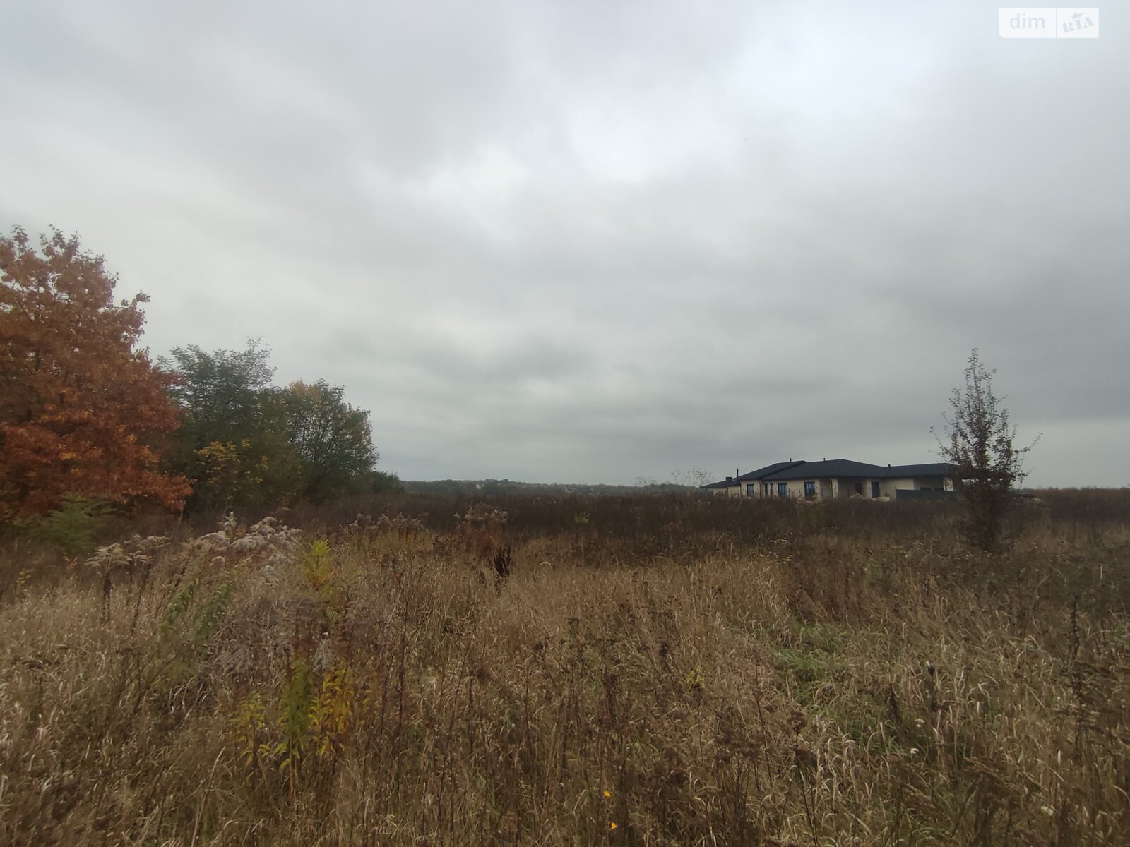 Земельный участок под жилую застройку в Прибужскому, площадь 81 сотка фото 1 Земельный участок под жилую застройку в Прибужскому, площадь 81 сотка фото 1