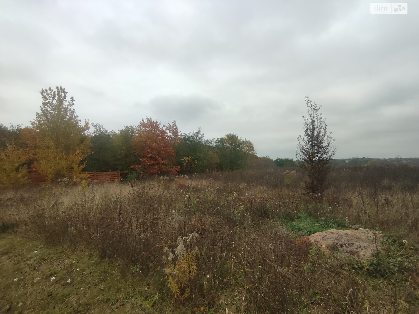 Земельный участок под жилую застройку в Прибужскому, площадь 81 сотка фото 1 Земельный участок под жилую застройку в Прибужскому, площадь 81 сотка фото 1