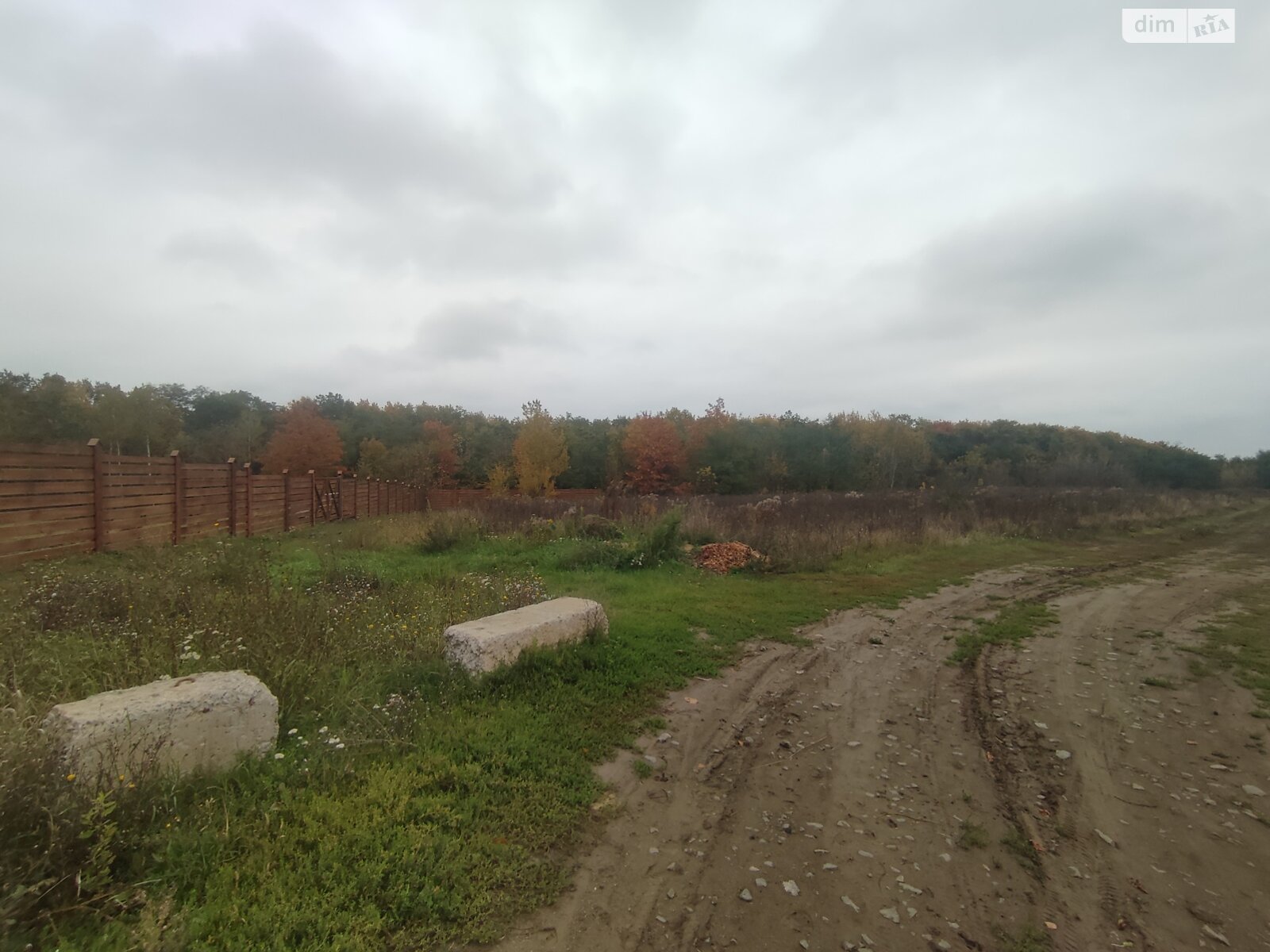 Земельный участок под жилую застройку в Прибужскому, площадь 81 сотка фото 1 Земельный участок под жилую застройку в Прибужскому, площадь 81 сотка фото 1