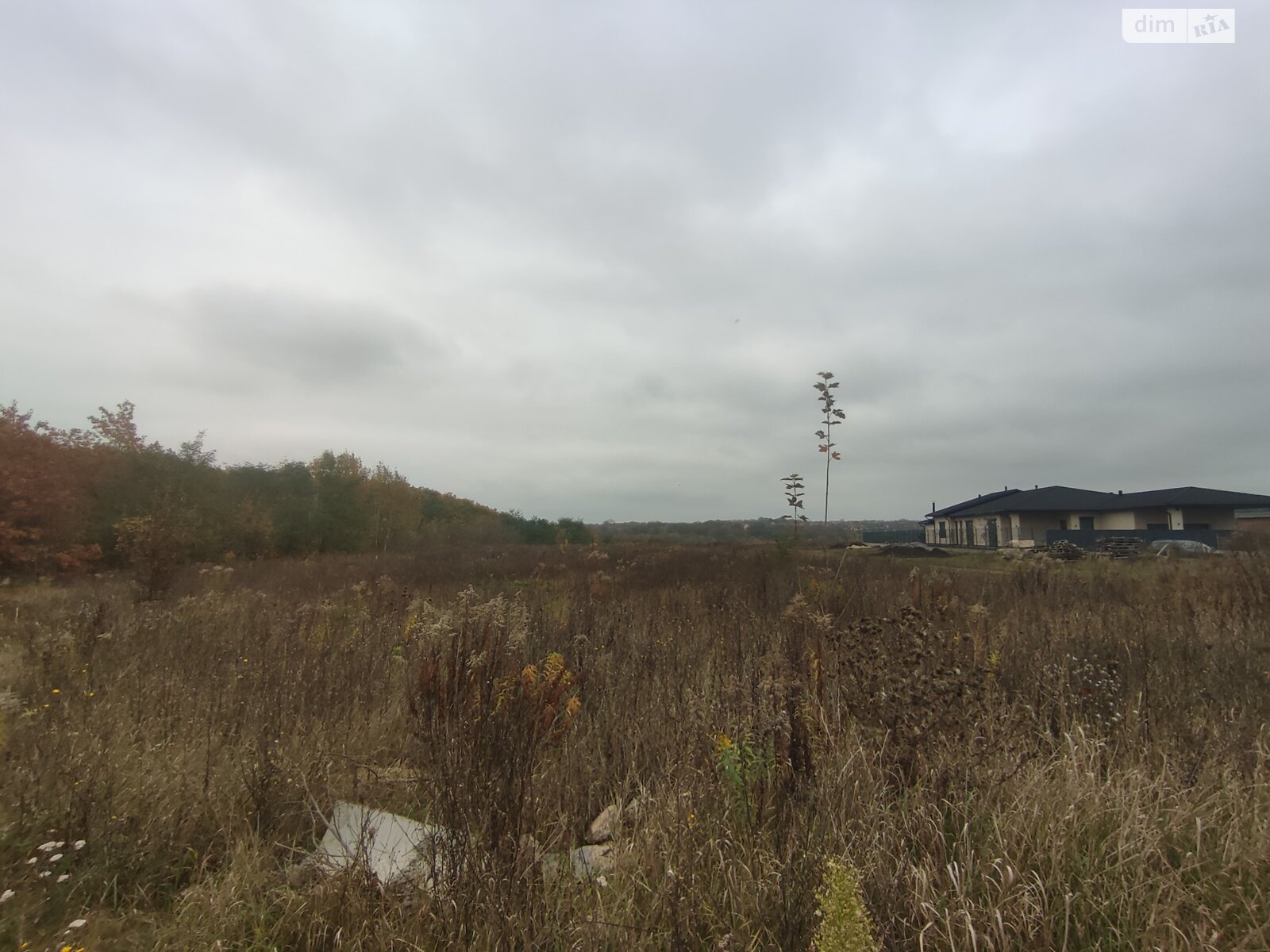 Земельный участок под жилую застройку в Прибужскому, площадь 81 сотка фото 1 Земельный участок под жилую застройку в Прибужскому, площадь 81 сотка фото 1