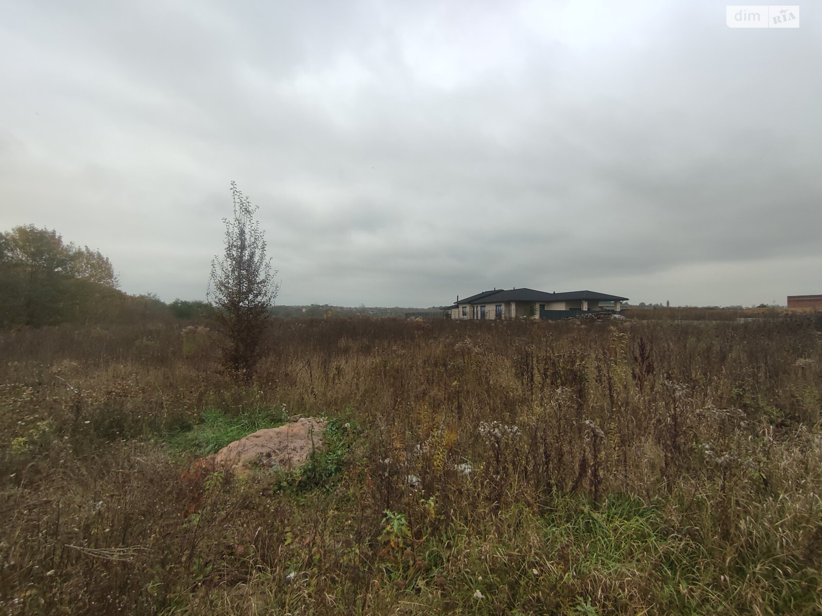 Земельный участок под жилую застройку в Прибужскому, площадь 81 сотка фото 1 Земельный участок под жилую застройку в Прибужскому, площадь 81 сотка фото 1