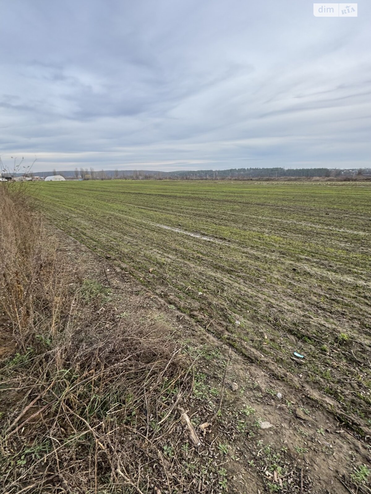 Земельна ділянка під житлову забудову в Прибузькому, площа 10 соток фото 1 Земельна ділянка під житлову забудову в Прибузькому, площа 10 соток фото 1