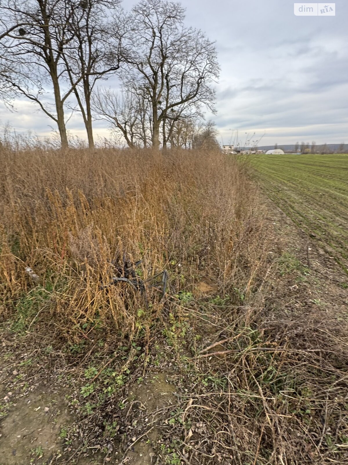 Земельна ділянка під житлову забудову в Прибузькому, площа 10 соток фото 1 Земельна ділянка під житлову забудову в Прибузькому, площа 10 соток фото 1