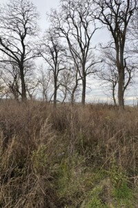 Земельна ділянка під житлову забудову в Прибузькому, площа 10 соток фото 2 Земельна ділянка під житлову забудову в Прибузькому, площа 10 соток фото 2