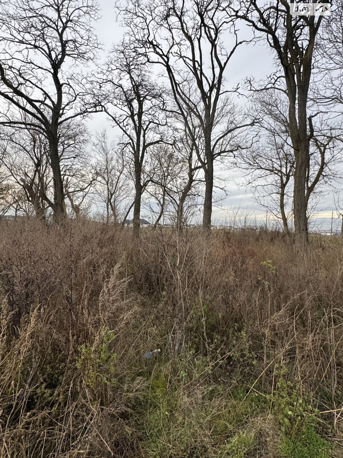 Земельна ділянка під житлову забудову в Прибузькому, площа 10 соток фото 1 Земельна ділянка під житлову забудову в Прибузькому, площа 10 соток фото 1