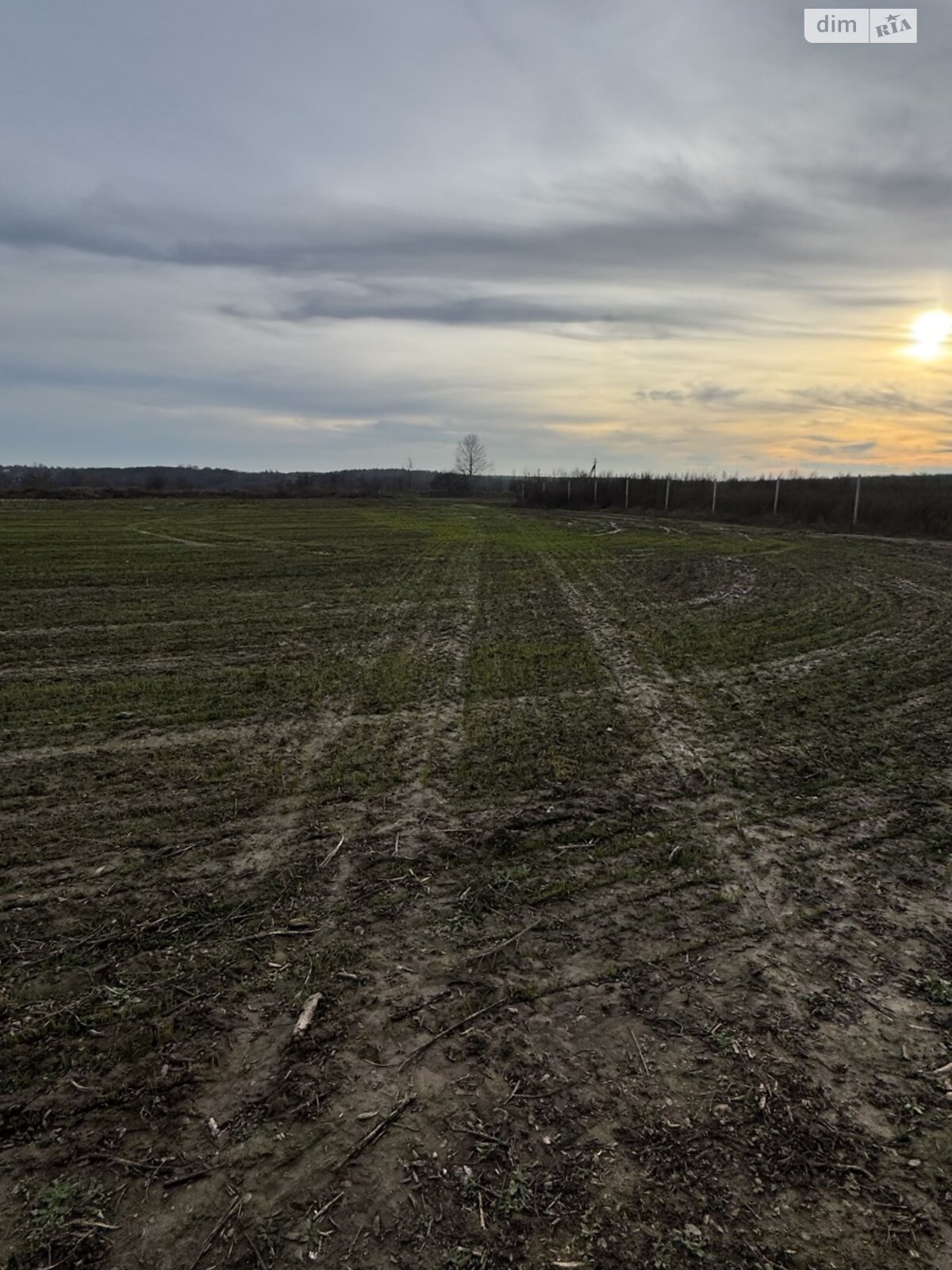 Земельна ділянка під житлову забудову в Прибузькому, площа 10 соток фото 1 Земельна ділянка під житлову забудову в Прибузькому, площа 10 соток фото 1