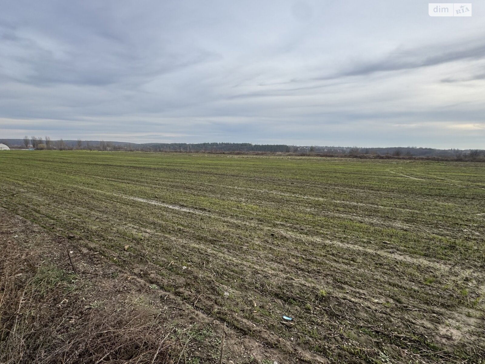 Земельна ділянка під житлову забудову в Прибузькому, площа 10 соток фото 1 Земельна ділянка під житлову забудову в Прибузькому, площа 10 соток фото 1