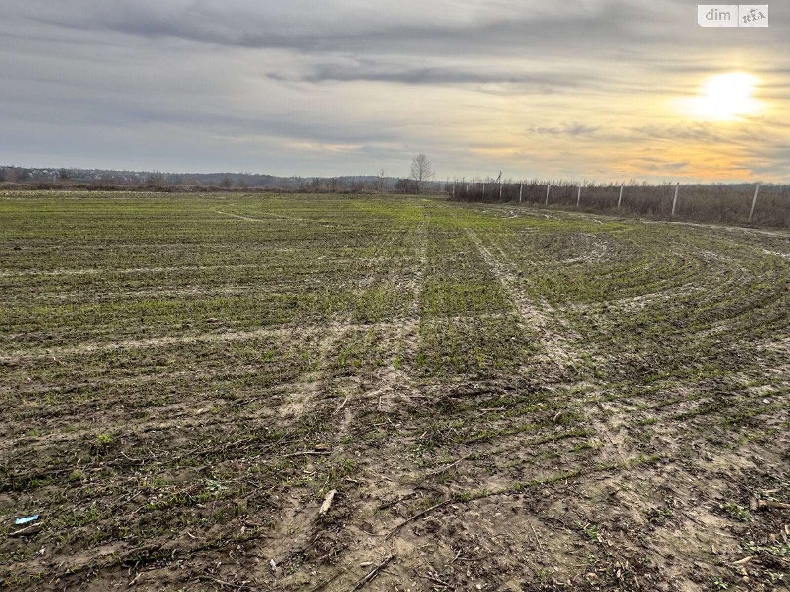 Земельна ділянка під житлову забудову в Прибузькому, площа 10 соток фото 1 Земельна ділянка під житлову забудову в Прибузькому, площа 10 соток фото 1