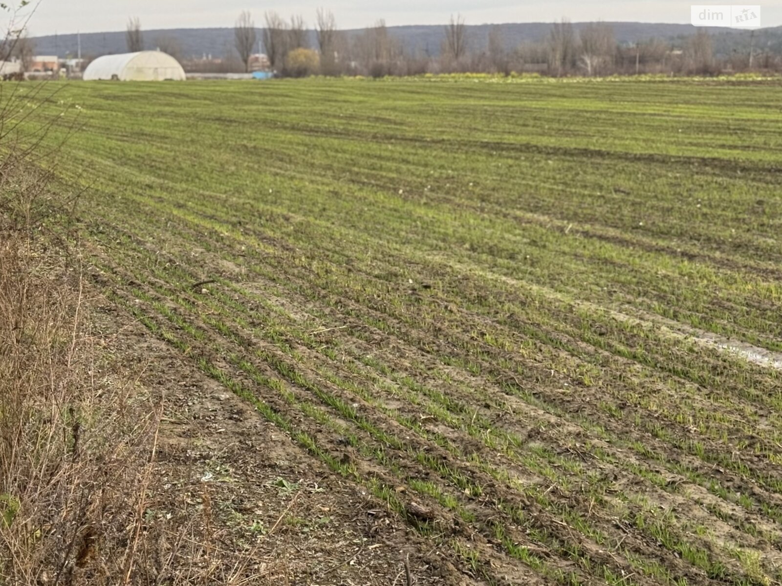 Земельна ділянка під житлову забудову в Прибузькому, площа 10 соток фото 1 Земельна ділянка під житлову забудову в Прибузькому, площа 10 соток фото 1