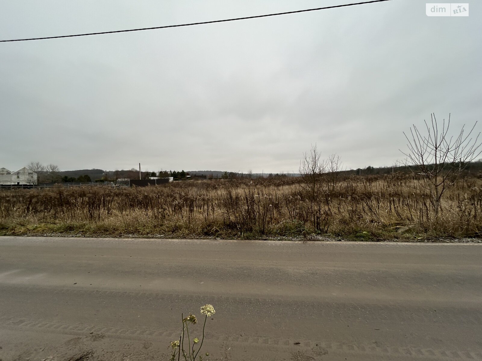 Земельна ділянка під житлову забудову в Прибузькому, площа 8 соток фото 1 Земельна ділянка під житлову забудову в Прибузькому, площа 8 соток фото 1