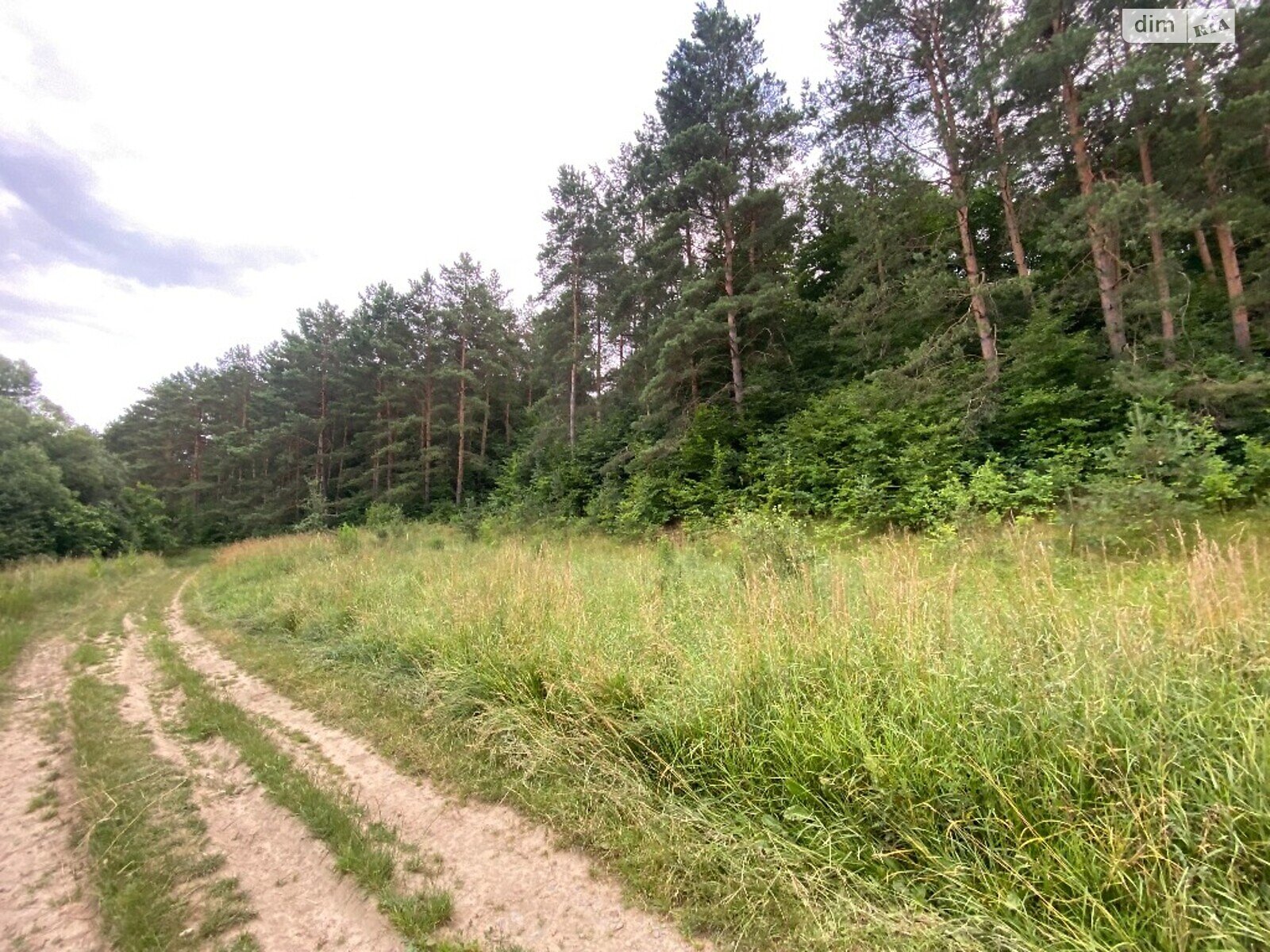 Земельна ділянка під житлову забудову в Прибузькому, площа 10 соток фото 1 Земельна ділянка під житлову забудову в Прибузькому, площа 10 соток фото 1