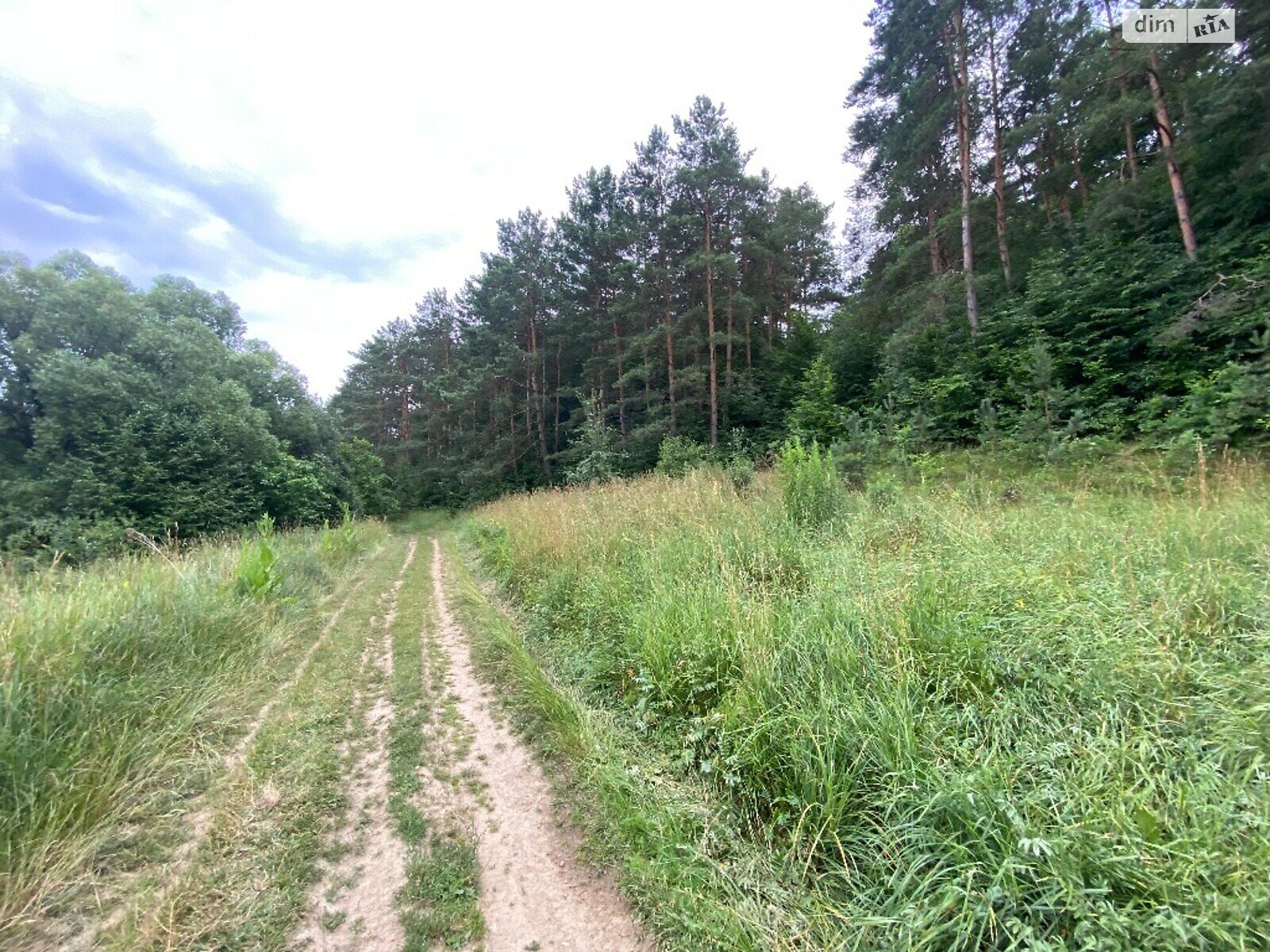 Земельна ділянка під житлову забудову в Прибузькому, площа 10 соток фото 1 Земельна ділянка під житлову забудову в Прибузькому, площа 10 соток фото 1