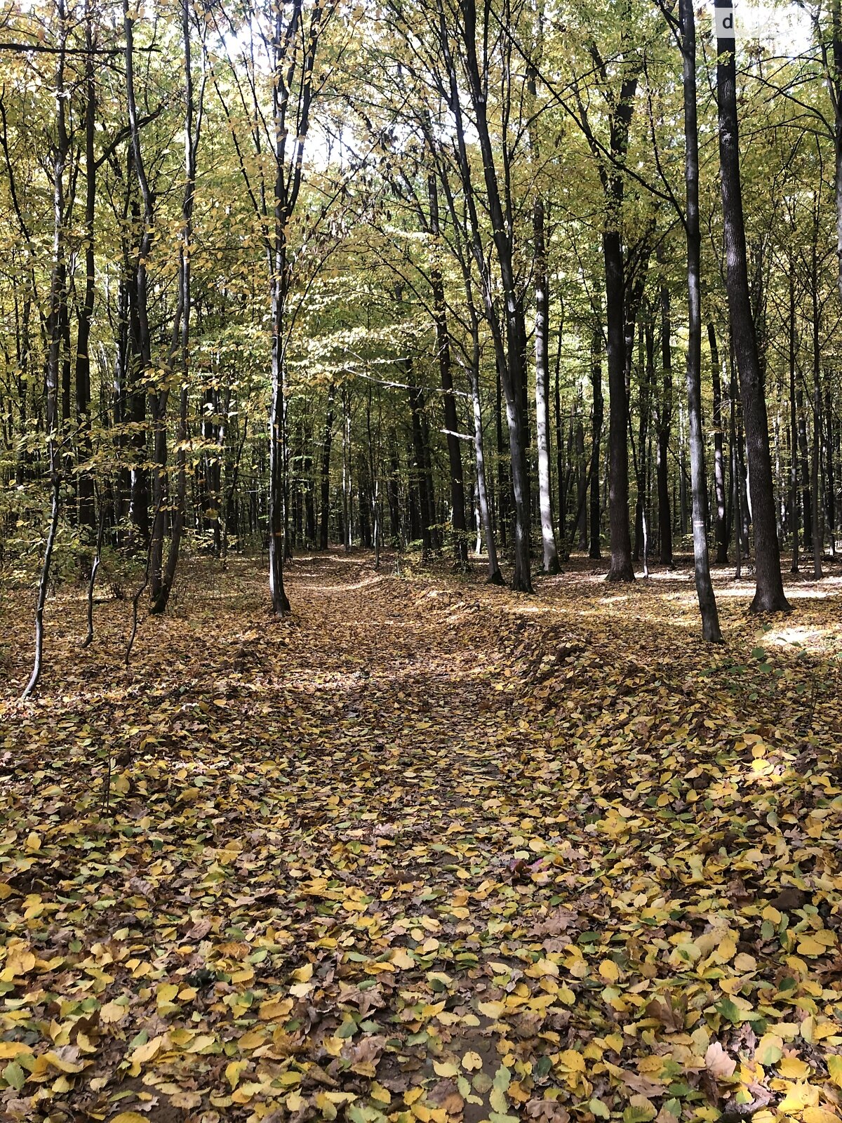 Земельна ділянка під житлову забудову в Прибузькому, площа 10 соток фото 1