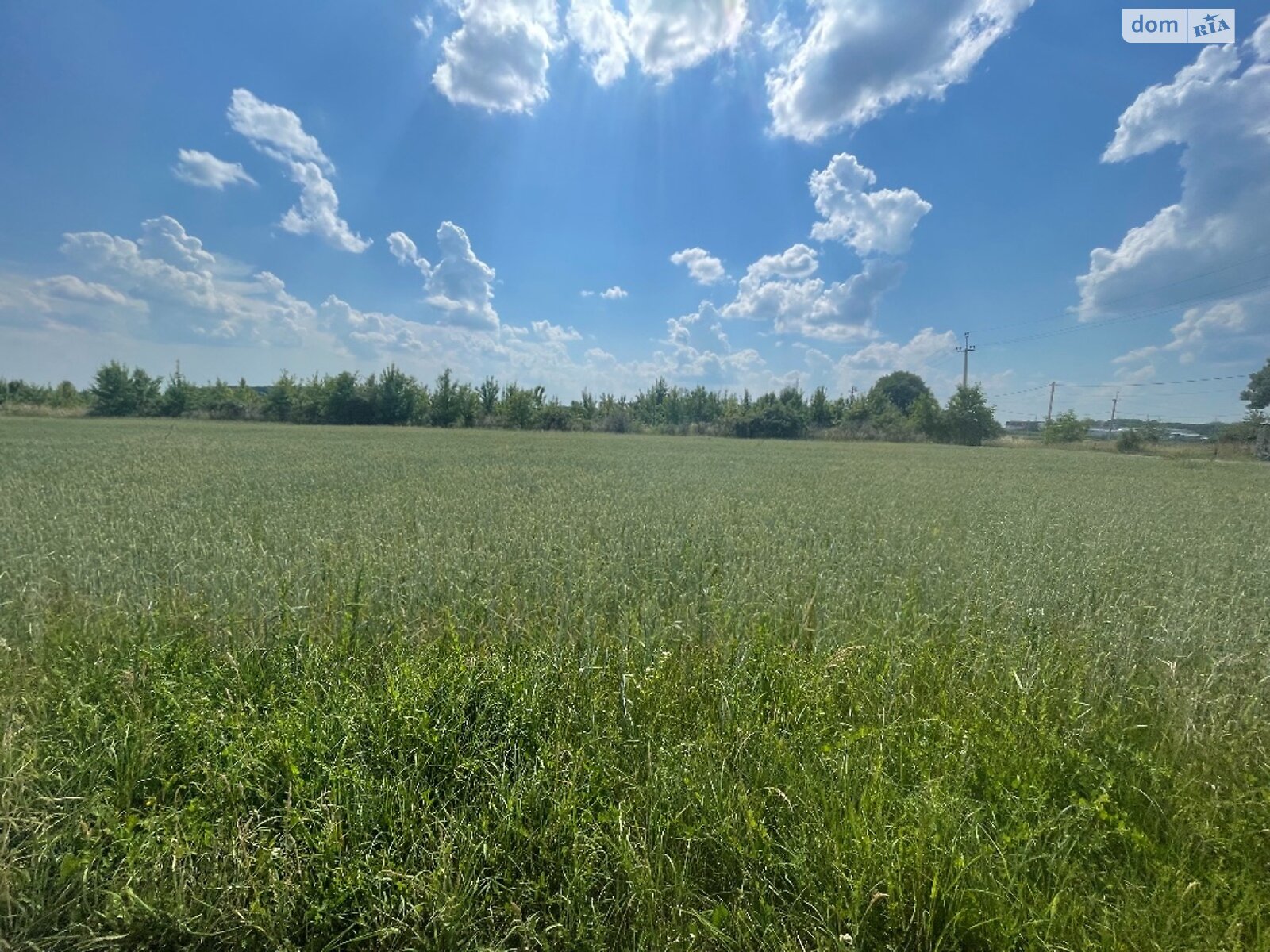 Земельна ділянка під житлову забудову в Луці-Мелешківській, площа 8 соток фото 1