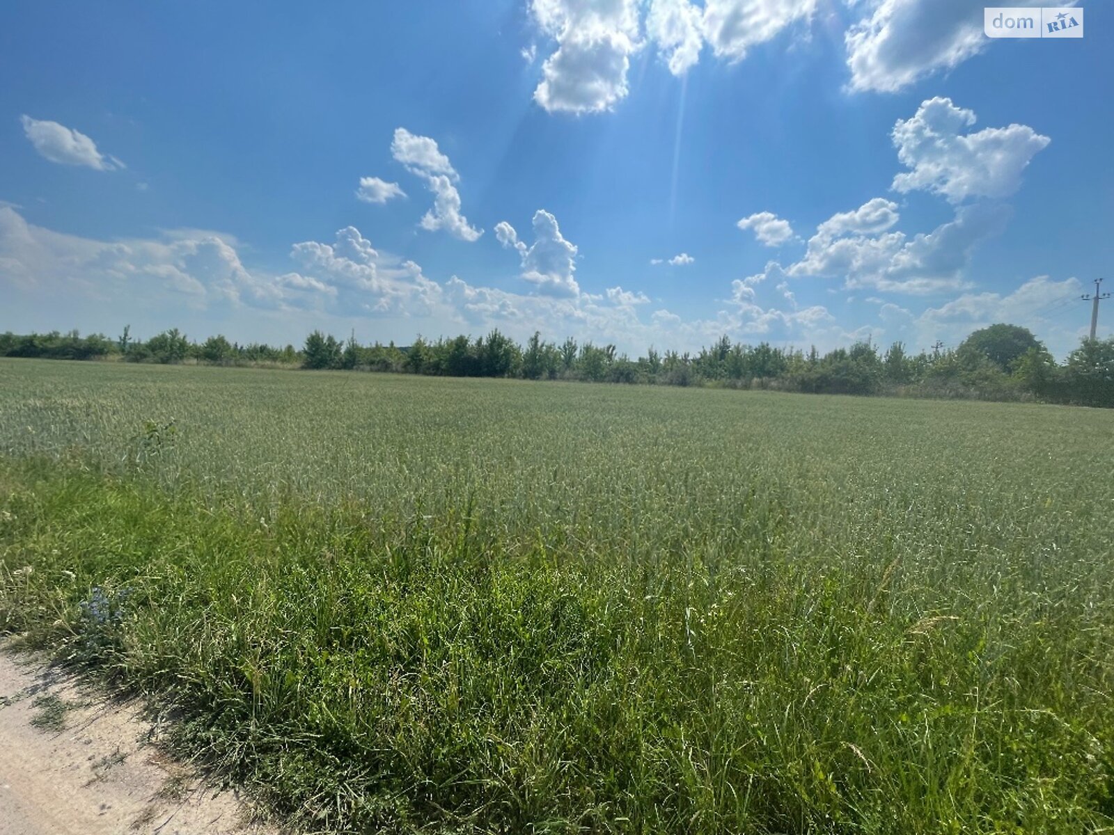 Земельна ділянка під житлову забудову в Луці-Мелешківській, площа 8 соток фото 1