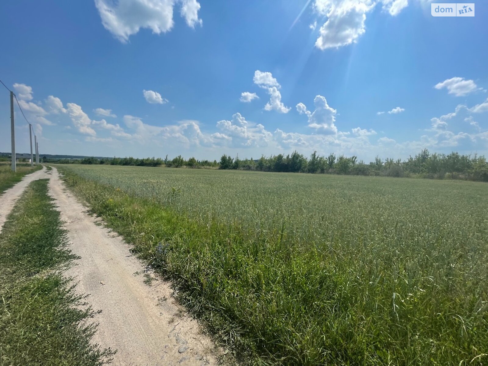 Земельна ділянка під житлову забудову в Луці-Мелешківській, площа 8 соток фото 1