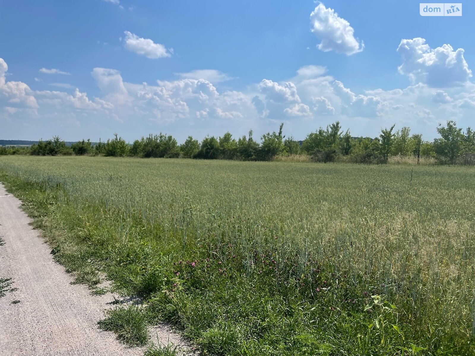 Земельна ділянка під житлову забудову в Луці-Мелешківській, площа 8 соток фото 1