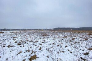 Земельна ділянка під житлову забудову в Луці-Мелешківській, площа 20 соток фото 2