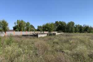 Земельный участок под жилую застройку в Процеве, площадь 41 сотка фото 2