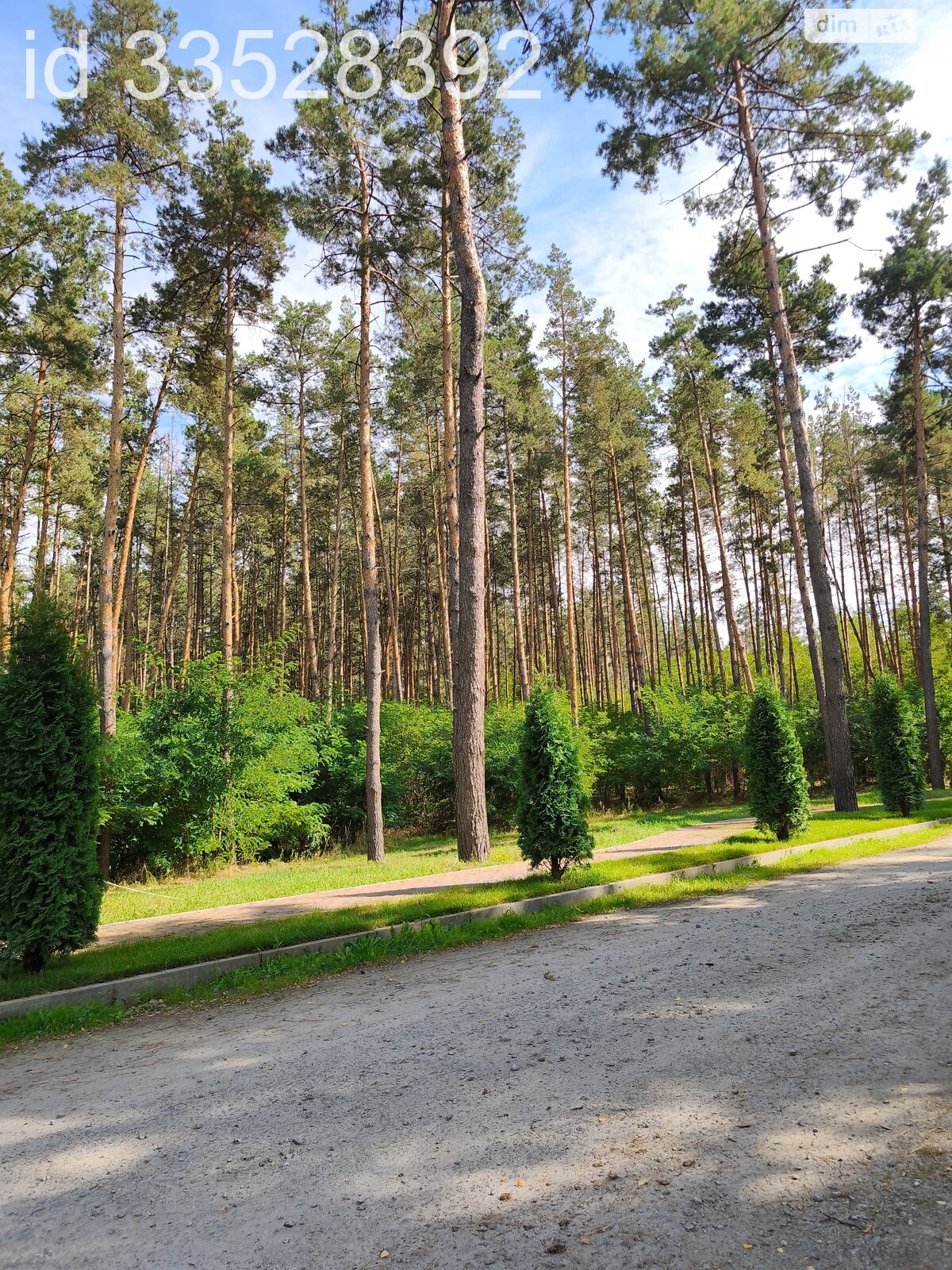 Земельный участок под жилую застройку в Процеве, площадь 25 соток фото 1 Земельный участок под жилую застройку в Процеве, площадь 25 соток фото 1