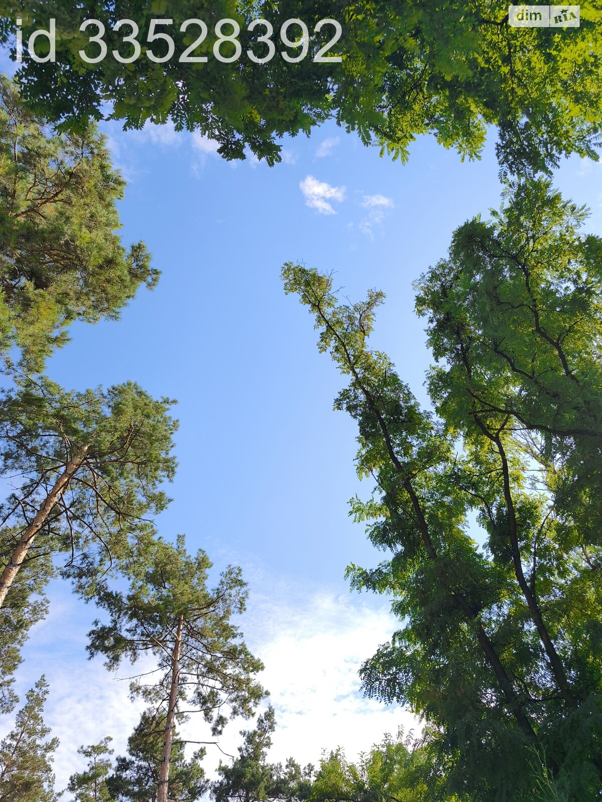 Земельный участок под жилую застройку в Процеве, площадь 25 соток фото 1 Земельный участок под жилую застройку в Процеве, площадь 25 соток фото 1