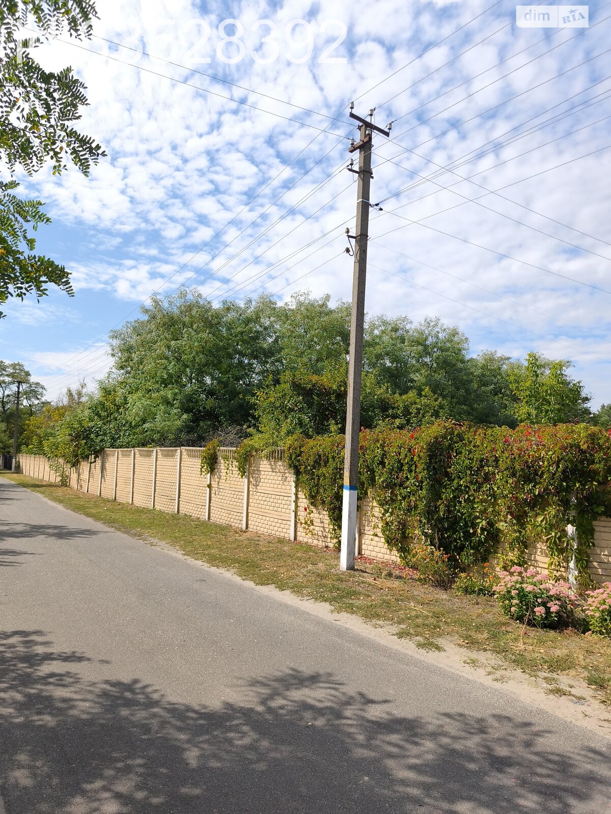 Земельный участок под жилую застройку в Процеве, площадь 25 соток фото 1 Земельный участок под жилую застройку в Процеве, площадь 25 соток фото 1