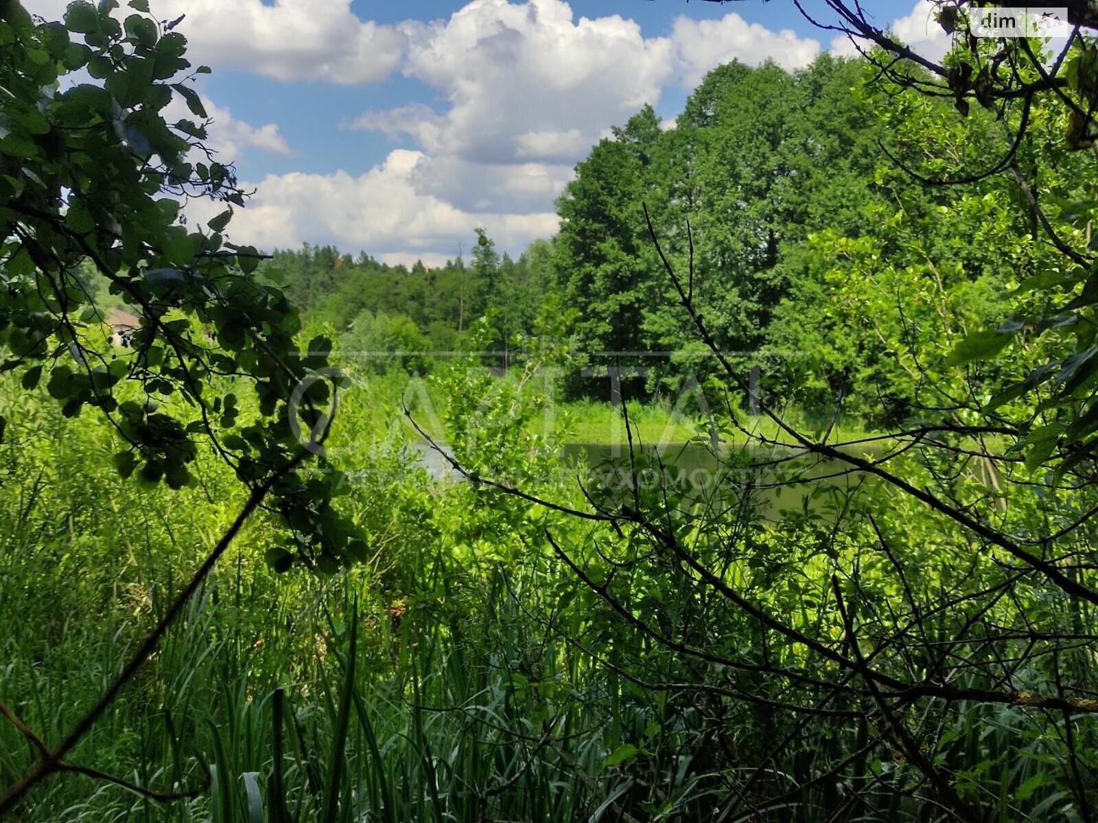 Земельна ділянка під житлову забудову в Процеві, площа 10 Га фото 1