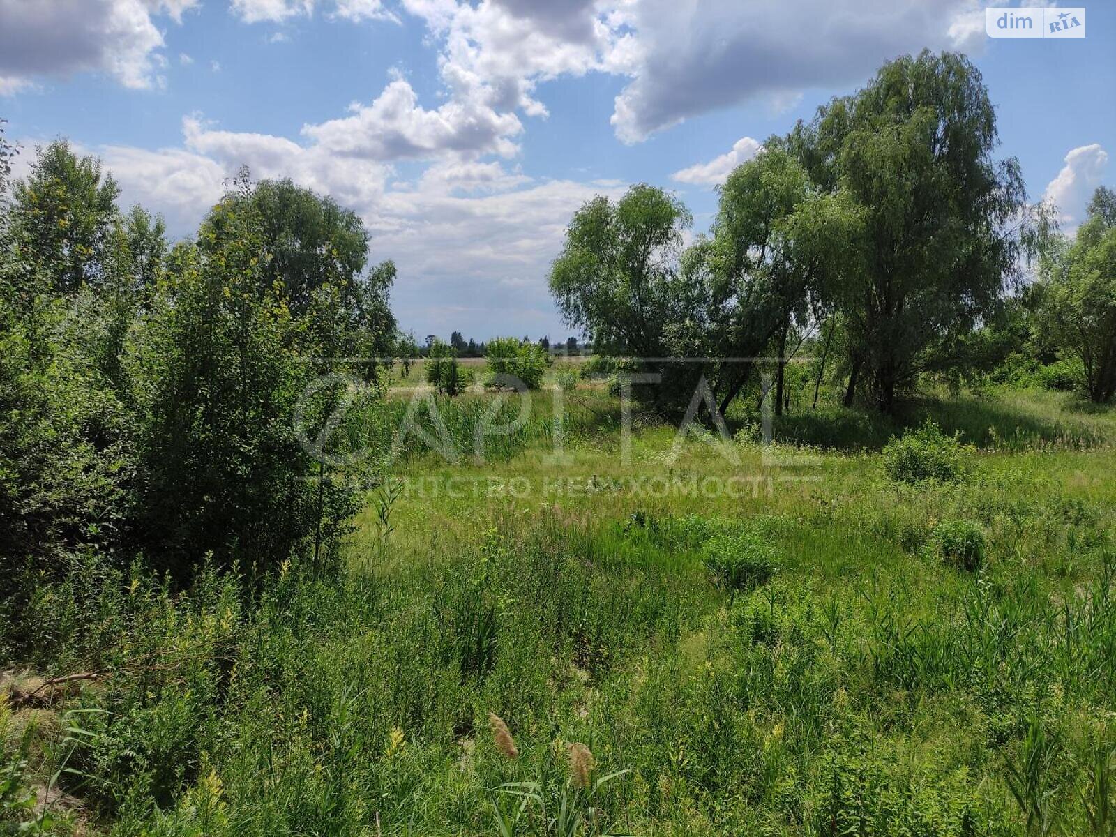 Земельна ділянка під житлову забудову в Процеві, площа 10 Га фото 1