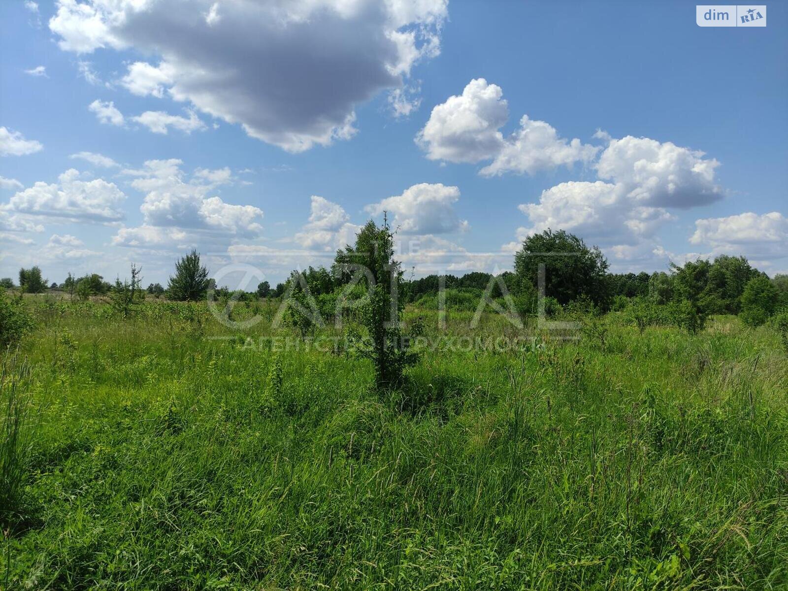 Земельна ділянка під житлову забудову в Процеві, площа 10 Га фото 1