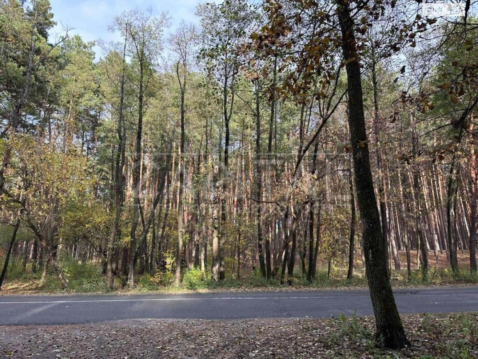 Земельна ділянка під житлову забудову в Процеві, площа 25 соток фото 1