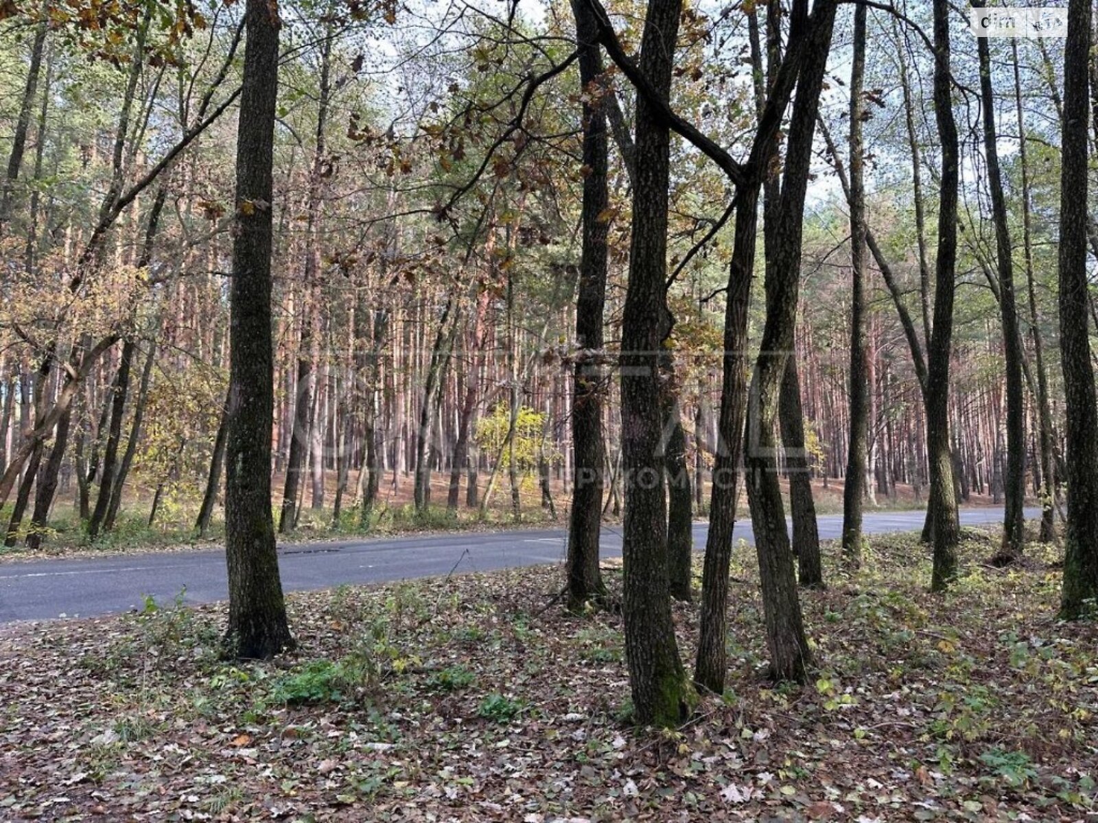 Земельна ділянка під житлову забудову в Процеві, площа 25 соток фото 1