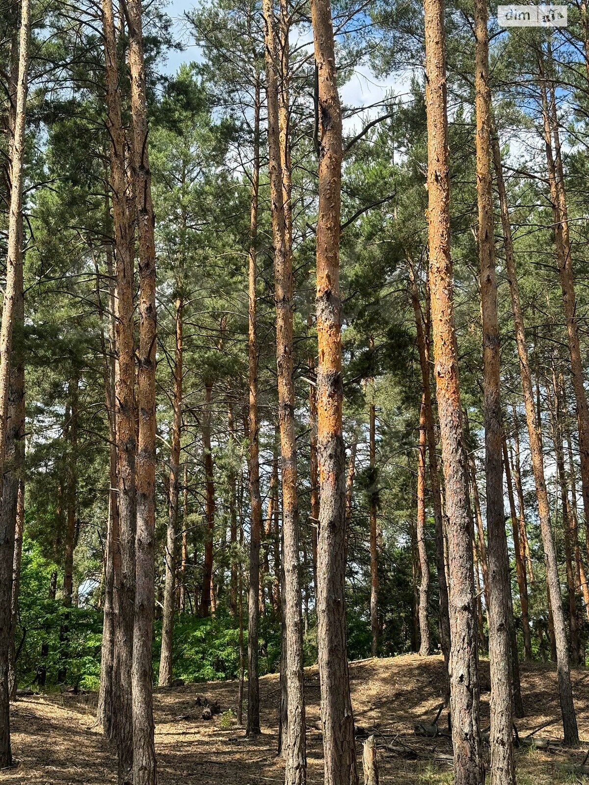 Земельна ділянка під житлову забудову в Процеві, площа 27 соток фото 1