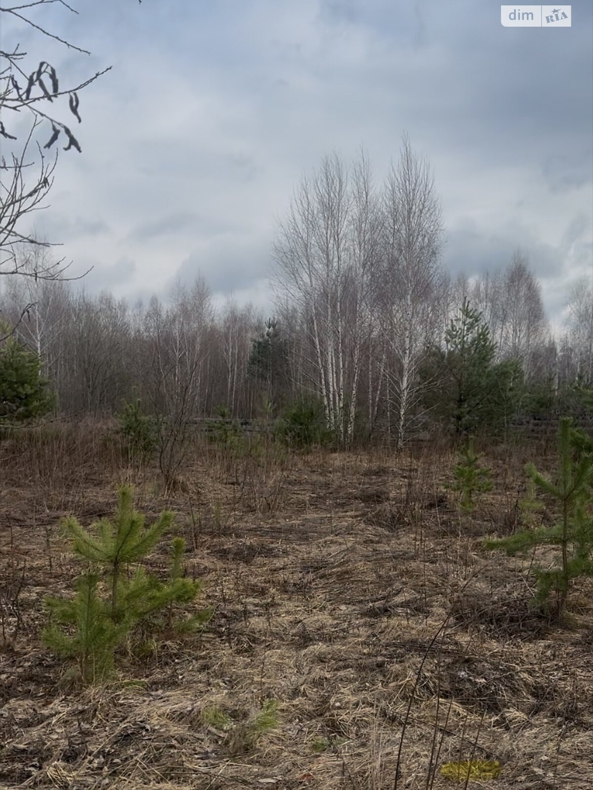 Земельна ділянка під житлову забудову в Пряжеві, площа 13.6 сотки фото 1