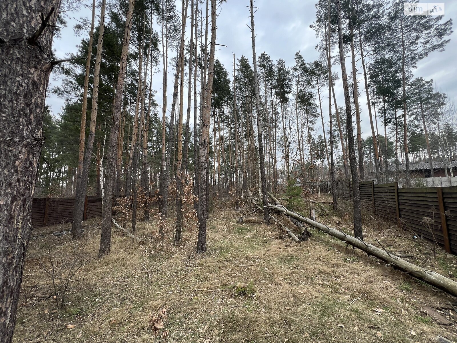 Земельна ділянка під житлову забудову в Пряжеві, площа 13.5 сотки фото 1