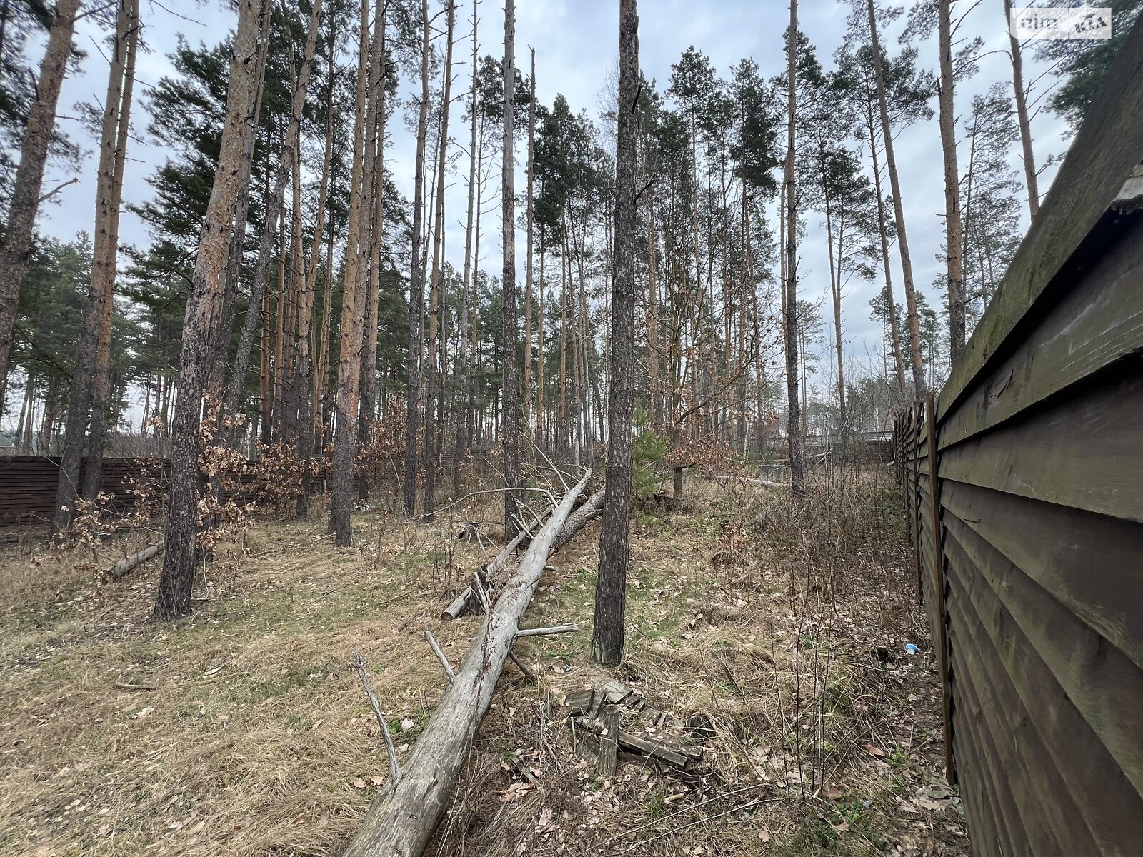 Земельна ділянка під житлову забудову в Пряжеві, площа 13.5 сотки фото 1