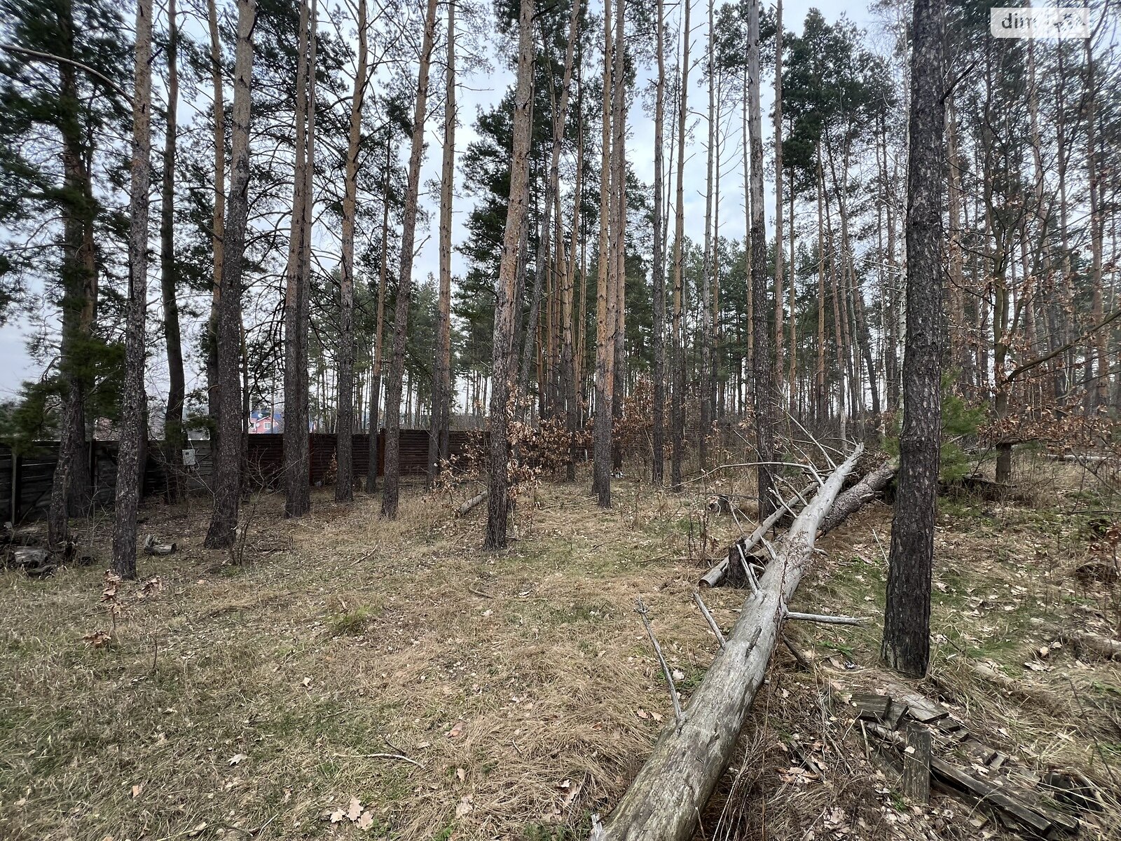 Земельна ділянка під житлову забудову в Пряжеві, площа 13.5 сотки фото 1