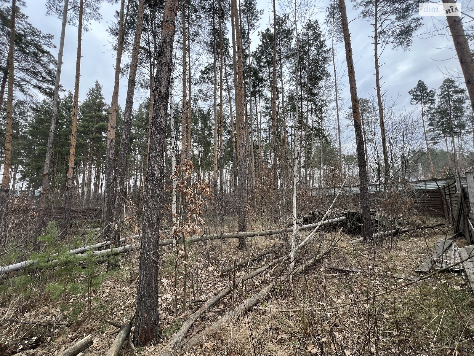 Земельна ділянка під житлову забудову в Пряжеві, площа 13.5 сотки фото 1